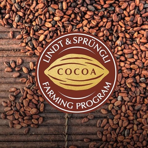 【2025 Flash Sales+ Free Shipping】Lindt Lindor 1KG Milk Chocolate Truffles Bag - Approx 80 balls - Image 7